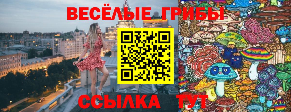 Галлюциногенные грибы GOLDEN TEACHER Свободный